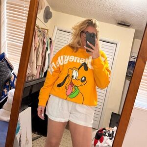 Walt Disney World Crew Pluto Sweater
